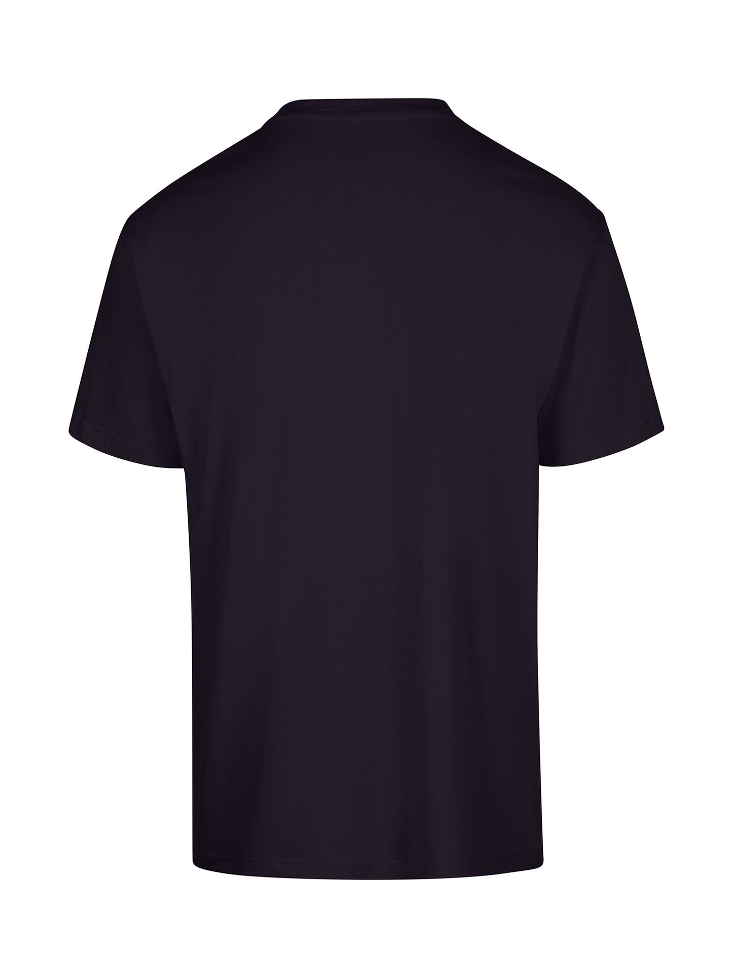 Custom 100% Cotton Men's / Unisex Regular T-Shirt - T202HT