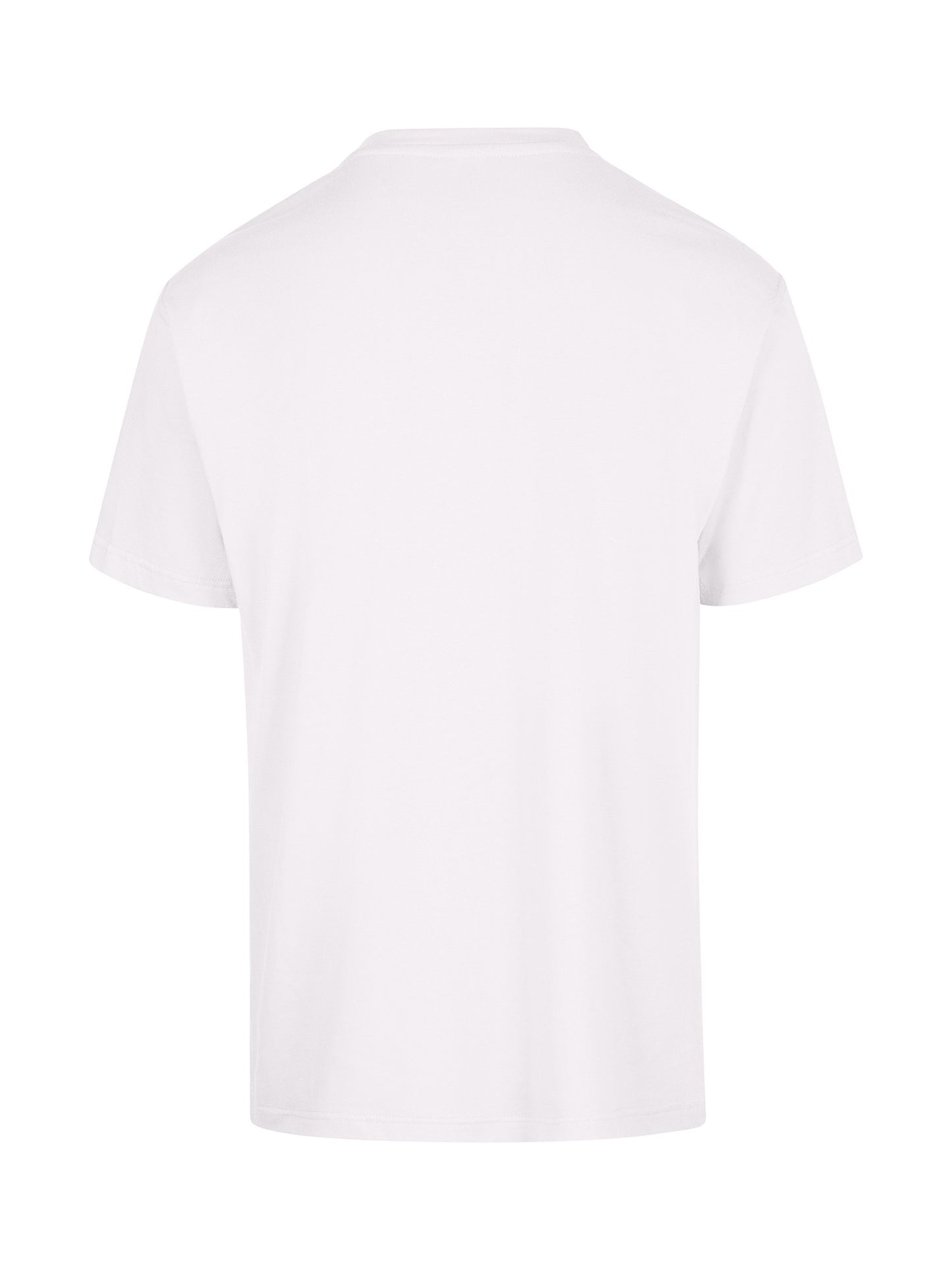 Custom 100% Cotton Men's / Unisex Regular T-Shirt - T202HT